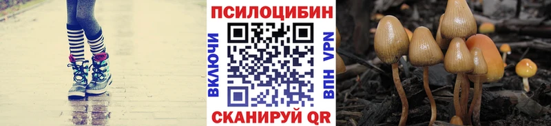 Псилоцибиновые грибы ЛСД  Карасук 