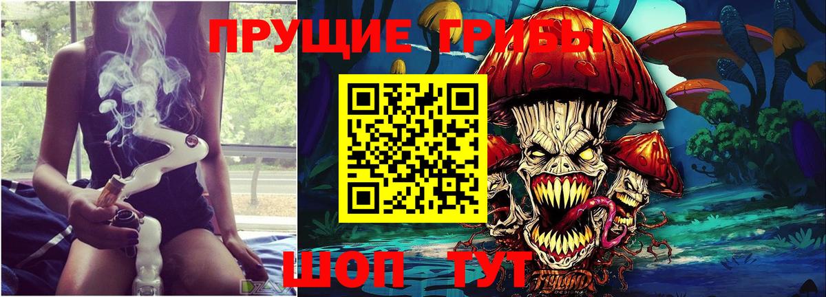 Псилоцибиновые грибы Cubensis  Вход с VPN  Галлюциногенные грибы прущие грибы  Карасук 