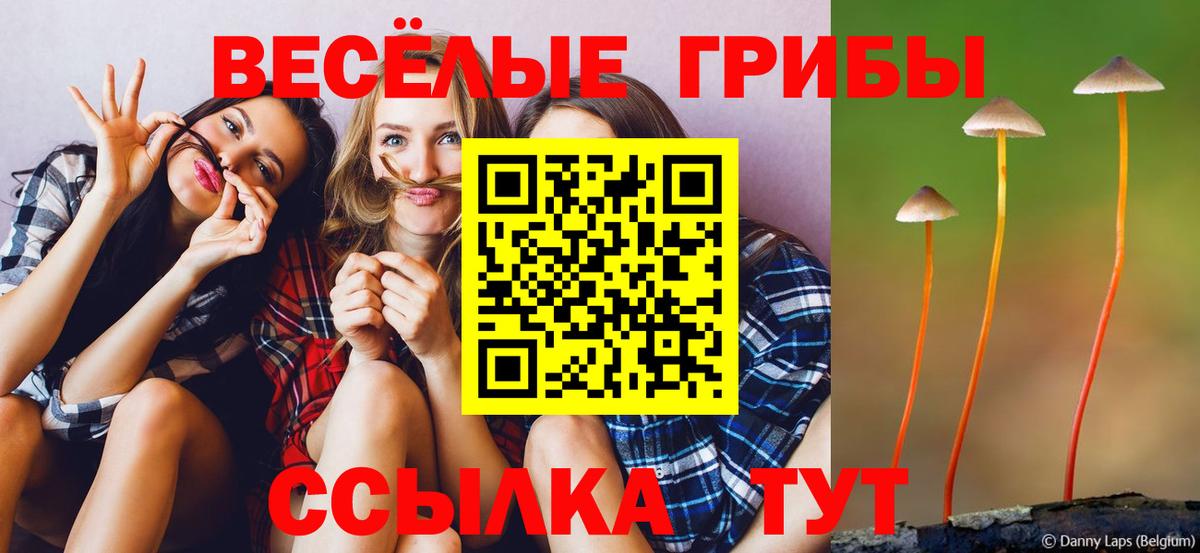 Галлюциногенные грибы Cubensis Карасук